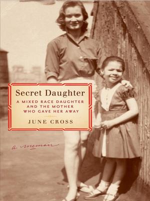 Cover of the book Secret Daughter by Angela Knight, Nalini Singh, Virginia Kantra, Meljean Brook