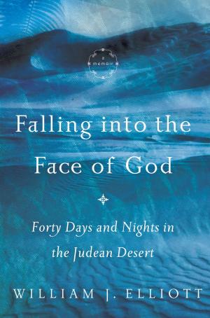 Cover of the book Falling Into the Face of God by Kristy Cambron