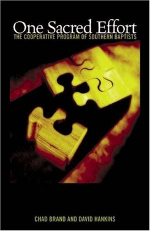 Cover of the book One Sacred Effort by David W. Jones
