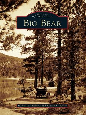 Cover of the book Big Bear by Brian Whetstone, Jessie Harris, Buffalo County Historical Society
