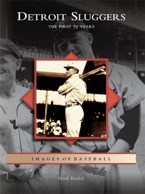 Cover of the book Detroit Sluggers by Parker Anderson, Elisabeth Ruffner