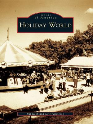 Cover of the book Holiday World by Anne Martin