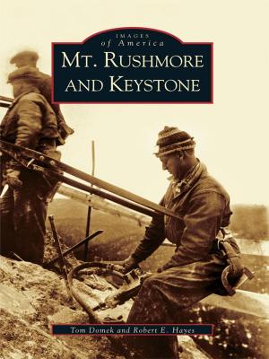 Book cover of Mt. Rushmore and Keystone