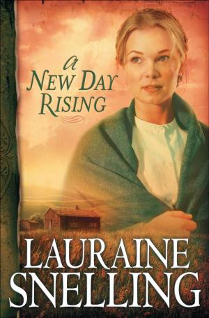 Book cover of New Day Rising, A (Red River of the North Book #2)