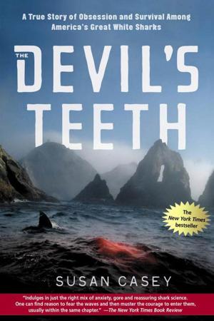 Cover of the book The Devil's Teeth by Mike Lewis