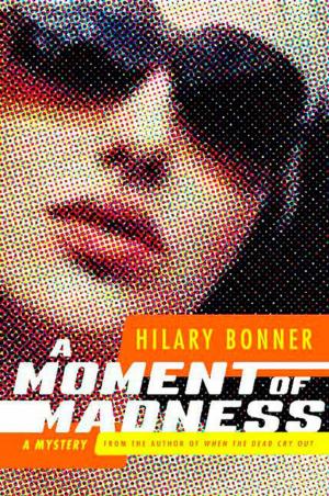 Cover of the book A Moment of Madness by Leslie Oren