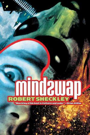 Cover of the book Mindswap by M.E. Purfield