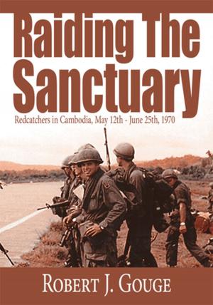 Cover of the book Raiding the Sanctuary by Sharon Buffkin