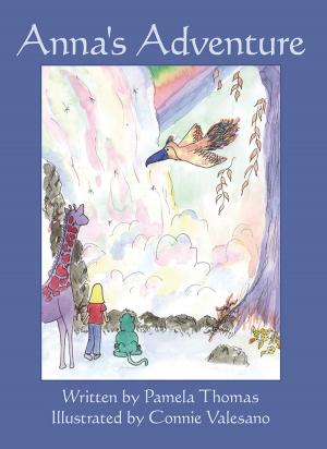 Cover of the book Anna's Adventure by Carolyn Walker Gunn