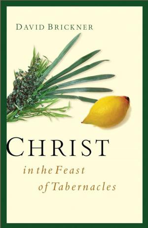 Cover of the book Christ in the Feast of Tabernacles by Steve Farrar