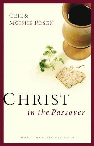 Cover of the book Christ in the Passover by W. Phillip Keller