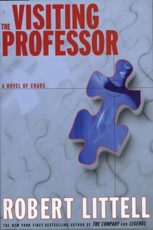 Cover of the book The Visiting Professor by Martin Olson