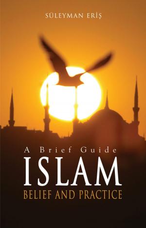 Cover of the book Islam: Belief And Practice by Daniel Hummel