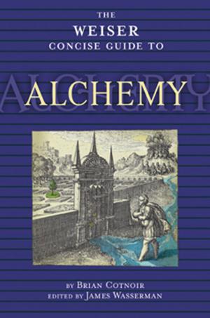 Cover of the book The Weiser Concise Guide to Alchemy by Erin Barrett, Jack Mingo