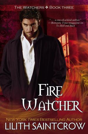 Cover of the book Fire Watcher by Trish Jensen
