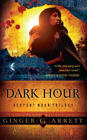 bigCover of the book Dark Hour by 