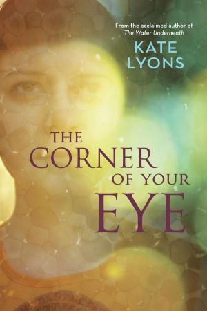 Cover of the book The Corner of Your Eye by Patrick Lindsay