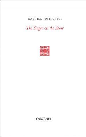 Cover of the book The Singer on the Shore by Elaine Feinstein