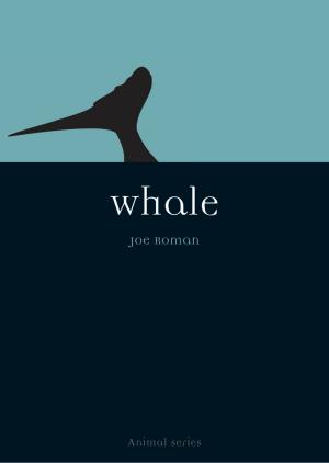 Cover of the book Whale by Jeremy Black