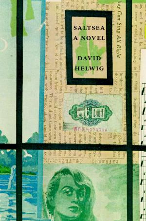 Cover of the book Saltsea by Marcel Pronovost, Bob Duff