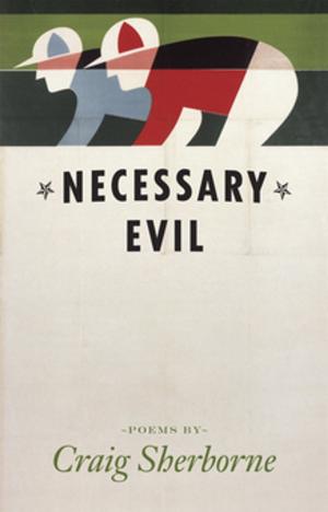Cover of the book Necessary Evil by Kayte Nunn