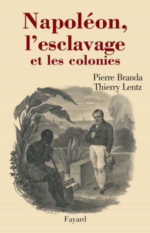 Cover of the book Napoléon, l'esclavage et les colonies by Gilbert Thiel
