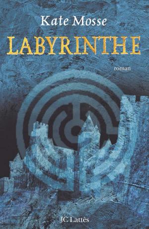 Cover of the book Labyrinthe by Natascha Kampusch