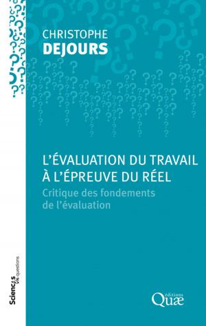 Cover of the book L'évaluation du travail à l'épreuve du réel by Boleslan Suszka, Claudine Muller, Marc Bonnet-Masimbert
