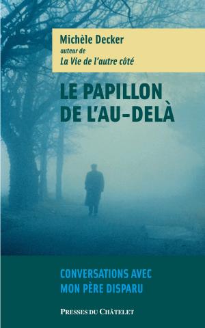 Cover of the book Le papillon de l'au-delà by Djana Schmidt, Michel Pascal