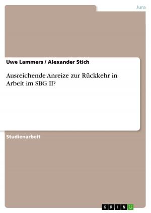Cover of the book Ausreichende Anreize zur Rückkehr in Arbeit im SBG II? by Irina Jabotinsky