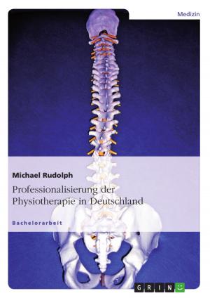 Cover of the book Professionalisierung der Physiotherapie in Deutschland by Alexander Geldmacher