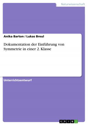 Cover of Dokumentation der Einführung von Symmetrie in einer 2. Klasse