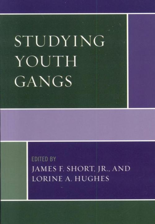 Cover of the book Studying Youth Gangs by , AltaMira Press