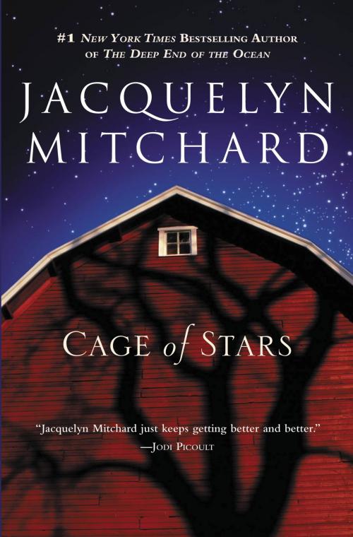 Cover of the book Cage of Stars by Jacquelyn Mitchard, Grand Central Publishing