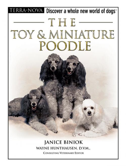Cover of the book The Toy & Miniature Poodle by Janice Biniok, TFH Publications, Inc.