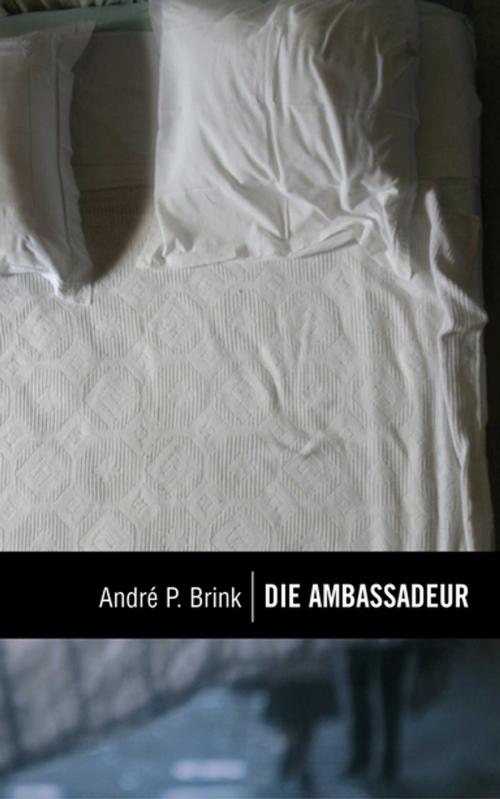 Cover of the book Klassiek reeks: Die Ambassadeur by André P. Brink, Human & Rousseau
