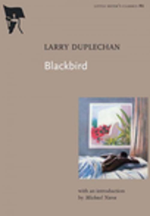 Cover of the book Blackbird by Larry Duplechan, Arsenal Pulp Press