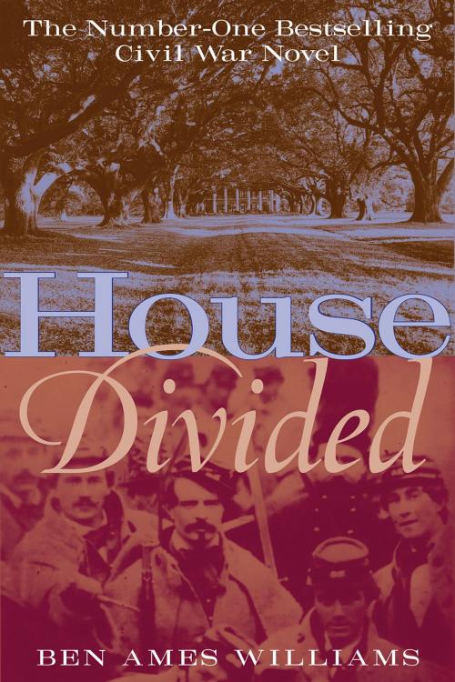 Cover of the book House Divided by Ben Williams, Chicago Review Press