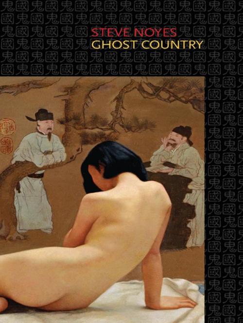 Cover of the book Ghost Country by Steve Noyes, Brick Books