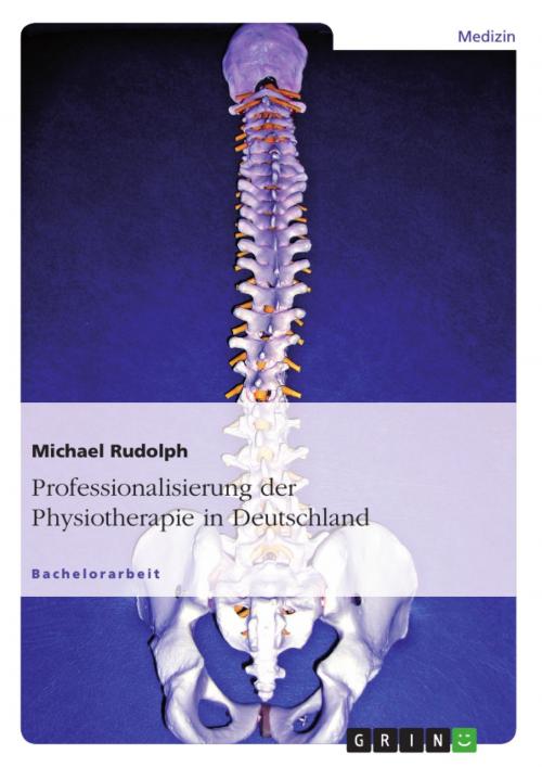 Cover of the book Professionalisierung der Physiotherapie in Deutschland by Michael Rudolph, GRIN Verlag
