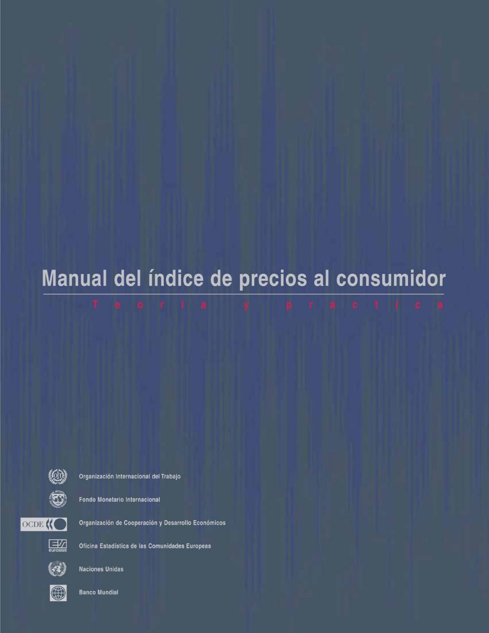 Big bigCover of Consumer Price Index Manual: Theory and Practice