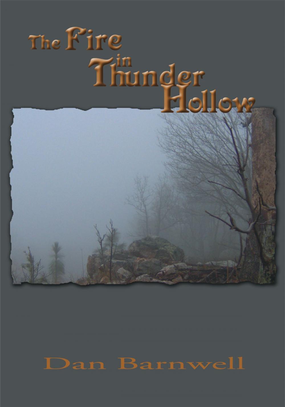 Big bigCover of The Fire in Thunder Hollow