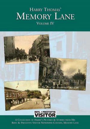 Book cover of Memory Lane Volume 4