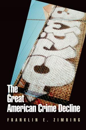 Cover of the book The Great American Crime Decline by John T. Slotemaker, Jeffrey C. Witt