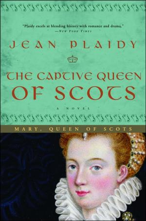 Book cover of The Captive Queen of Scots