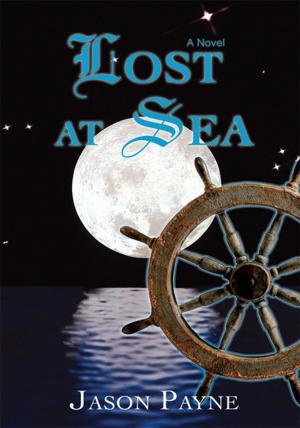bigCover of the book Lost at Sea by 