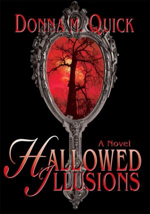 Cover of the book Hallowed Illusions by Omer Dawson