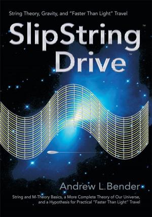 Cover of the book Slipstring Drive by Nasrin Z.
