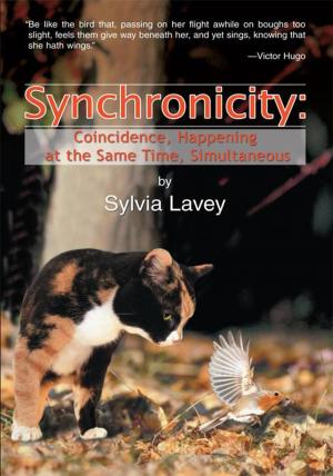 Cover of the book Synchronicity by Anonymous Too
