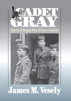 Book cover of Cadet Gray